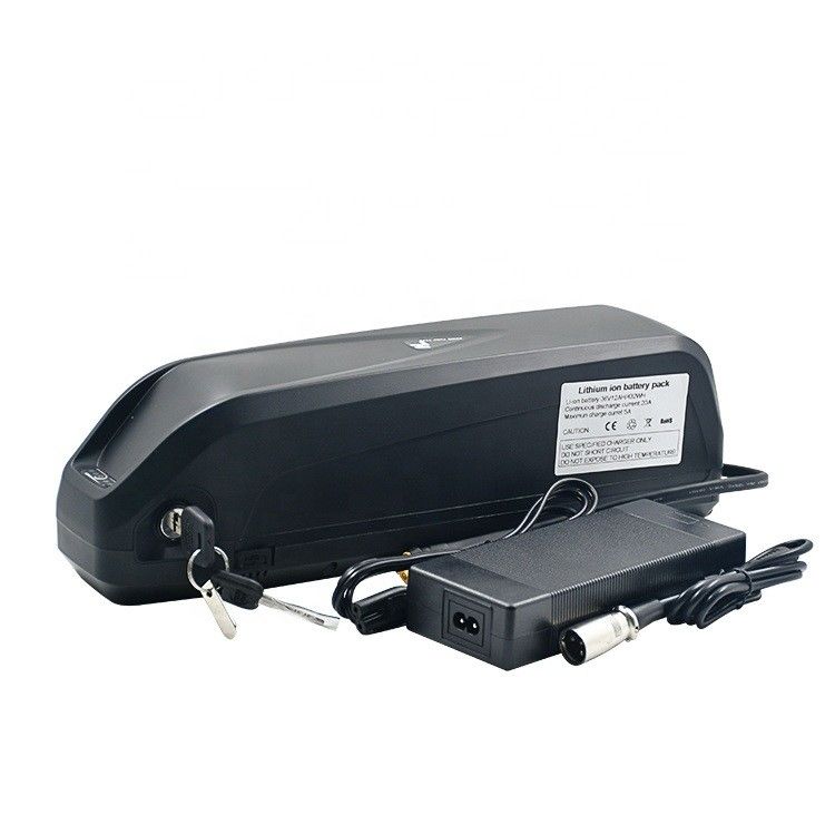 Replacement Hailong 48V 1000W Electric Vehicle Battery With Charger E-Bike Replacement Lithium Battery
