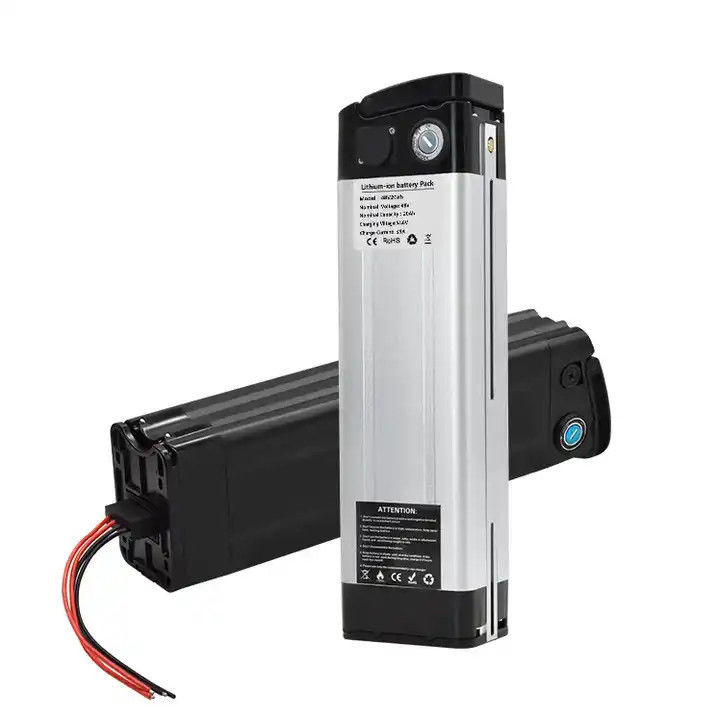 Customized Electric Bike 48volt 20ah Silver Fish E-Bike Lithium Battery for Aldi Prophete Mifa, Samsung