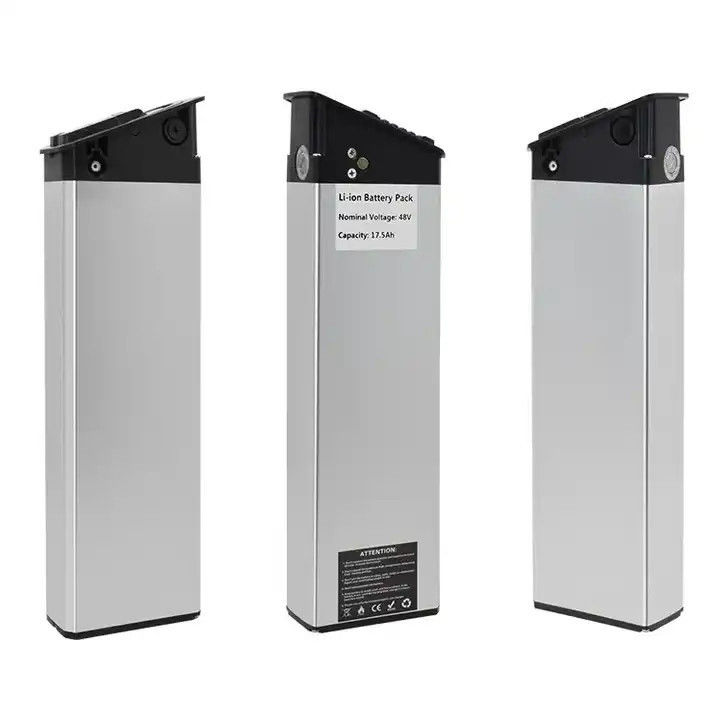 Customized Electric Bike 48volt 20ah Silver Fish E-Bike Lithium Battery for Aldi Prophete Mifa, Samsung