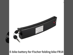 E-bike battery for Fischer folding bike FR18, charger included